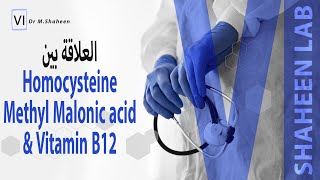 ما العلاقة بين تحاليل Homocysteine و MMA و Vitamin B12 وتفسير النتائج ؟ [upl. by Lilithe]