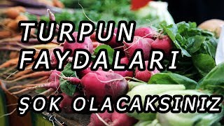 Turpun Faydaları Nelerdir [upl. by Zehe]