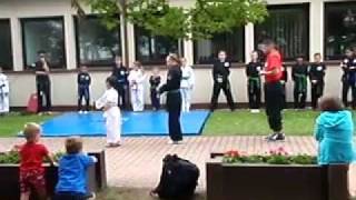 Karate Tech Team Kata Demo [upl. by Aciret]