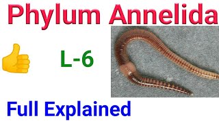 Animal kingdom  phylum Annelida ncert Annelida in Hindi classification of annelida [upl. by Najib]