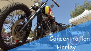 Concentration Harley Davidson en Corse [upl. by Andreana]