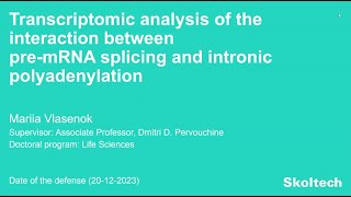 PhD Thesis Defense Mariia Vlasenok [upl. by Peskoff]