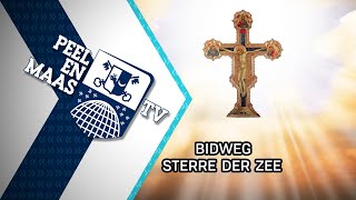 Bidweg Sterre der Zee  15 augustus 2024  Peel en Maas TV Venray [upl. by Araem]