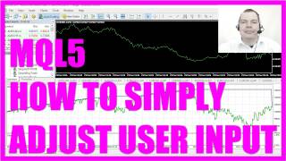 MQL5 Tutorial  How to simply adjust user input [upl. by Hanad]