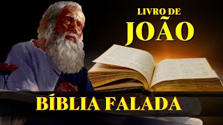 Livro de João 1 ao 11  Jesus o Pão da Vida Bíblia Falada [upl. by Currey873]