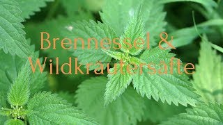 Brennessel amp Wildkräutersaft [upl. by Mlehliw]