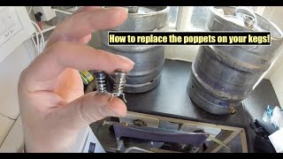 HOW TO REPLACE THE POPPETS IN YOUR CORNELIUS KEG [upl. by Macnair]