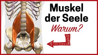 Warum der Psoas Muskel so wichtig für dein Wohlbefinden ist [upl. by Girardo]