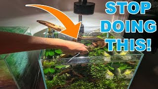 BIGGEST TIP FOR NEW AQUARIUM PLANTS [upl. by Plerre]