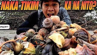 P1  Hermit Crab Catch and Cook  EP1497 [upl. by Sanborn]