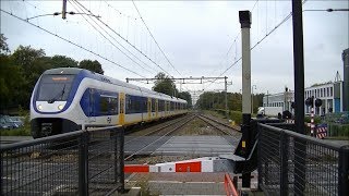 Spoorwegovergang DriebergenZeist  Dutch railroad crossing [upl. by Sobmalarah]