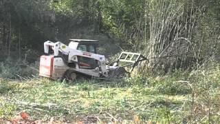 Bamboo Removal By Fairfax County Park Authority [upl. by Diley85]