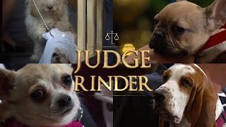 Dogs In Court  Judge Rinder [upl. by Saimon]