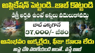 అనుభవం అక్కర్లేదుచేరగానే 37700 జీతం  Govt Job Search  IMSc Recruitment 2024 Latest Jobs Apply [upl. by Tepper]