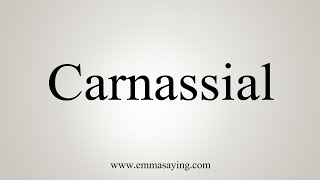 How To Say Carnassial [upl. by Mayce]