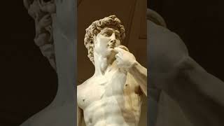 David  Michelangelo firenze michelangelobuonarroti michelangelo david sculpture [upl. by Nawj678]