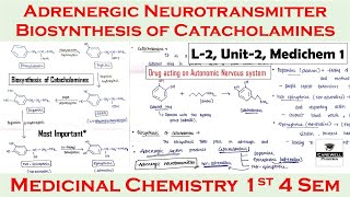 Adrenergic neurotransmitter  Biosynthesis of catacholamines  L2 U2  medicinal chemistry 4th sem [upl. by Recha]