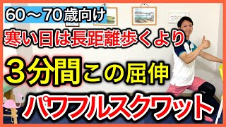 無理して長距離の散歩やジムに通うよりたった3分で足腰筋力に効くシニア向けスクワット（クールダウンのストレッチ付き） [upl. by Meggy]