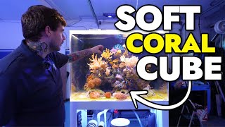 Introducing the NEW Soft Coral Cube at the Reef Builders Studio [upl. by Tuchman]