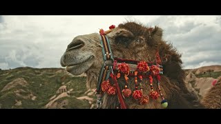 KAPPADOKIEN Impressionen  Cappadocia Impressions [upl. by Thordis]