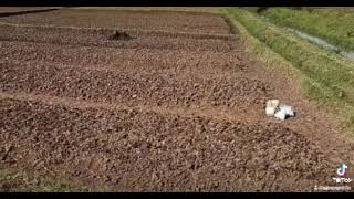 Soilless Farm Lab Rwanda [upl. by Sirmons664]