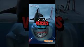 Orca Vs Great White Shark [upl. by Chatwin]