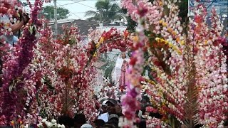 El Salvador celebrates its Flower and Palm festival [upl. by Greff]