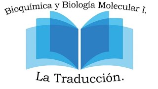 La Traducción síntesis de proteínas Bioquímica y Biología Molecular I [upl. by Mcspadden559]