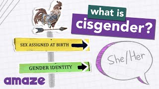 What is Cisgender AskAMAZE [upl. by Ikiv]