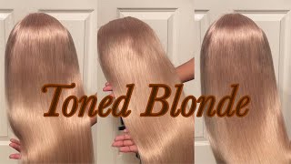 Toned 613 Wig Tutorial  Quick amp Easy Watercolor Method [upl. by Hasina]