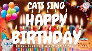 Cats Sing Happy Birthday Song  Cats Singing Song [upl. by Boswall490]