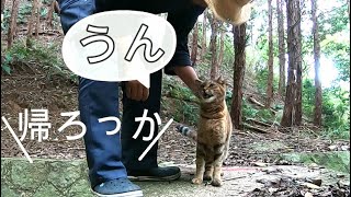 父が山奥まで迎えに来て子供の様に喜ぶ娘猫 [upl. by Yenreit]