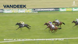 Tattersalls Craven Breeze Up Sale 2024 [upl. by Ahsek890]