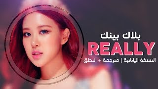 BLACKPINK  Really JPN  Arabic sub  أغنية بلاك بينك بالنسخة اليابانية  مترجمة  النطق [upl. by Enasus]