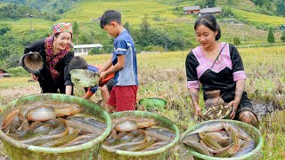 How to catch loaches in the field  Fish catching and grilling skills by the stream  Bếp Trên Bản [upl. by Aneej52]