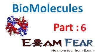 Structural Elucidation of Glucose Biomolecules Class 12 [upl. by Yamauchi987]