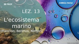 Lezione 13  Ecosistema marino Plancton Benthos Necton [upl. by Ykcul98]