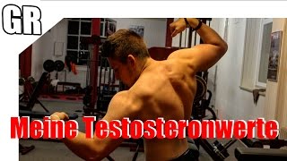 Testosteron steigern  Meine Werte niedriger Testosteronspiegel Superfoods 3 [upl. by Aonehc]