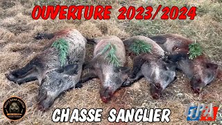 CHASSE SANGLIER OUVERTURE 202324 30 chiens pour le plaisir de nos oreilles et un loupé en théorie [upl. by Heydon]