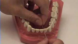 Smile Brush Floss  Flossing Tutorial [upl. by Aerdnek]