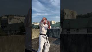 Some more tang soo do style shadowboxing [upl. by Morette]