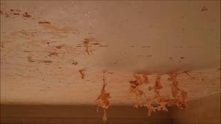 removal of painted embossed ceiling wallpaper [upl. by Arbed735]