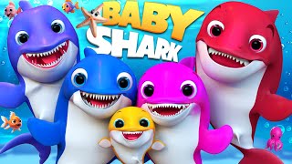 Baby Shark Remix dance  Baby Shark Doo Doo Doo Dance babyshark Most Viewed Video  Animal Songs [upl. by Ilime]