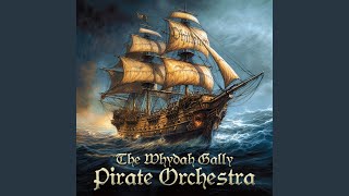 The Whydah Gally Pirate Orchestra [upl. by Nollat147]