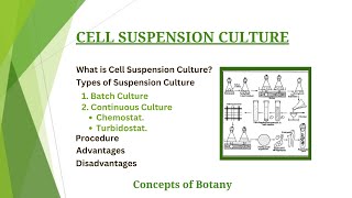 Aseptic Techniques Cell Culture Basics [upl. by Alie]