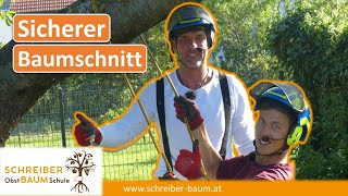 So schneidest du jeden Obstbaum sicher Baumklettern vom Profi erklärt [upl. by Nimrahc]