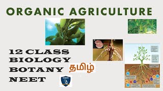 Organic Agriculture in Tamil  Plant Breeding I Botany  Class 12  TNSCERT  NEET [upl. by Reham]