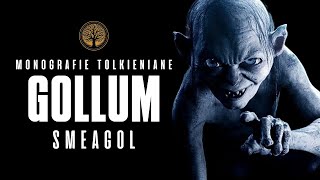 La STORIA di SMEAGOL GOLLUM dagli Hobbit Sturoi al Baratro del Monte Fato  IL SIGNORE DEGLI ANELLI [upl. by Enoch268]