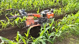 Automatic power weeder machineShrachi back rotary power weederPower weeder 🌽 corn farmingTillor [upl. by Leugim732]