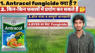 Bayer Antracol fungicide ll Propineb 70 WP How to use antracol fungicide ll [upl. by Tori424]